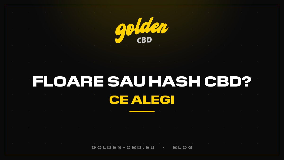 Floare sau rășină de CBD: pe care să o alegeți?