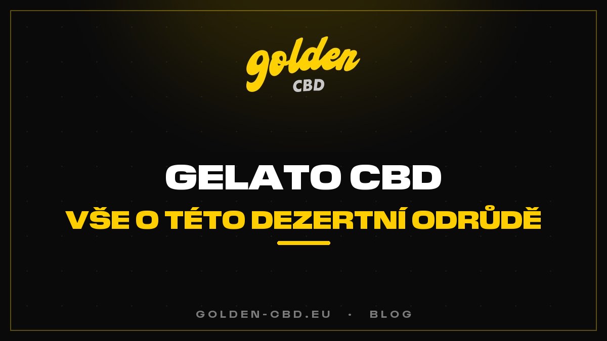 Gelato CBD: vše o této dezertní odrůdě