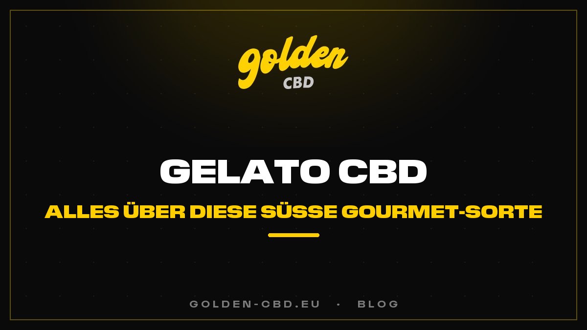 Gelato CBD: Alles über diese süße Gourmet-Sorte