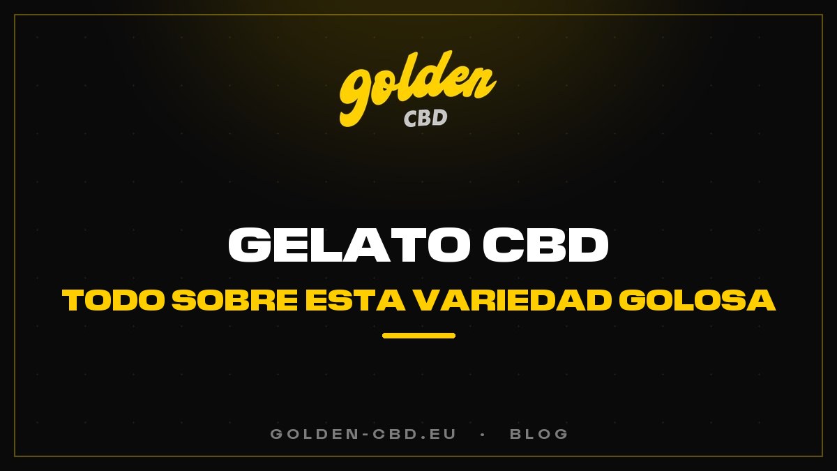 Gelato CBD: todo sobre esta variedad golosa