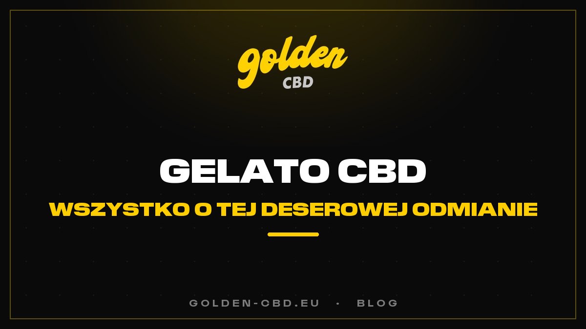 Gelato CBD: wszystko o tej deserowej odmianie