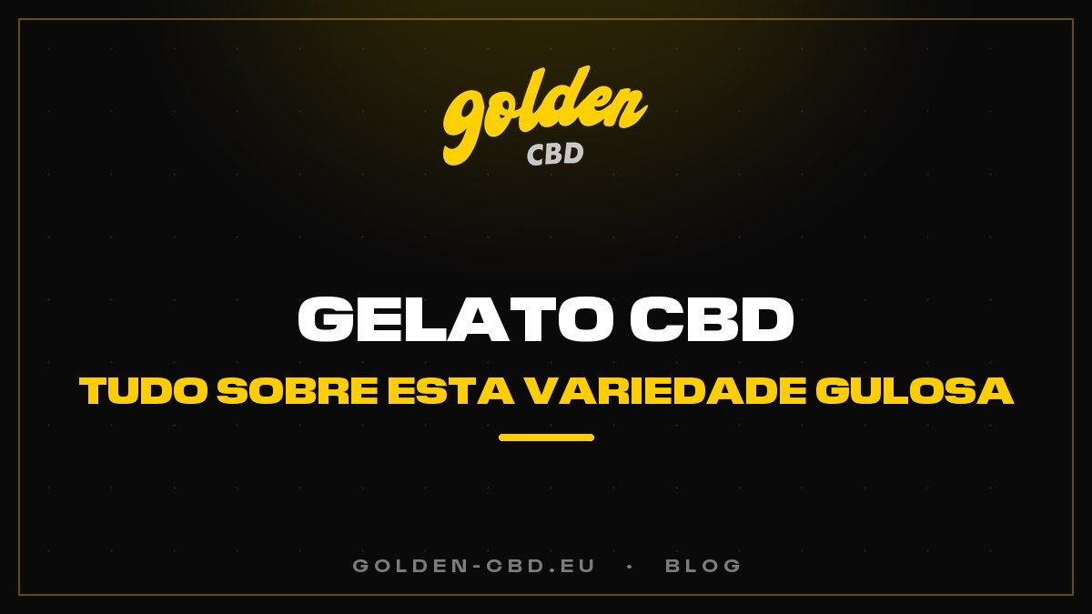 Gelato CBD: tudo sobre esta variedade gulosa