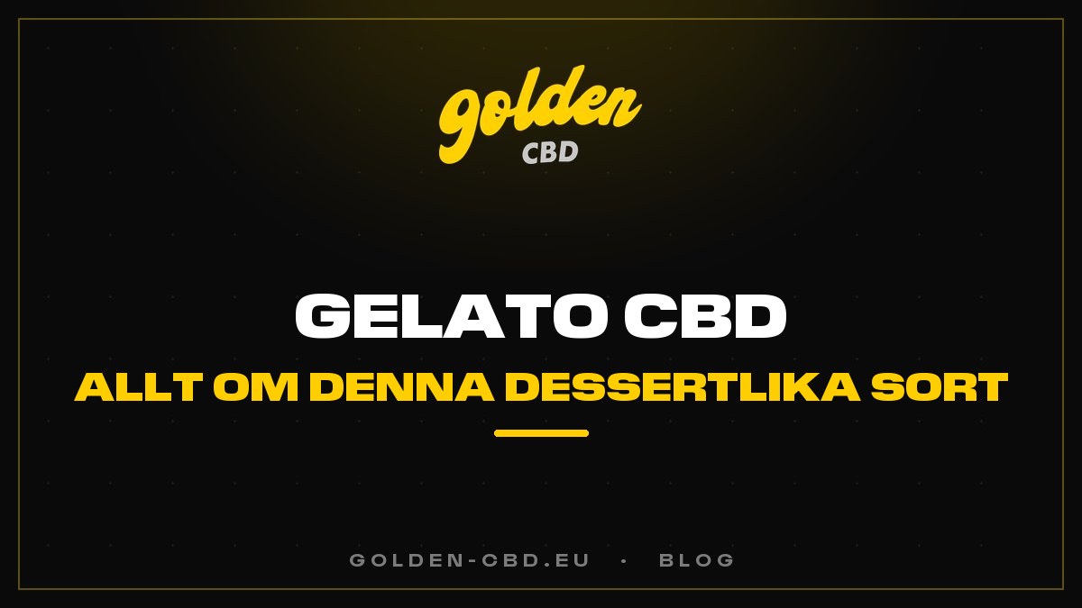 Gelato CBD: allt om denna dessertlika sort