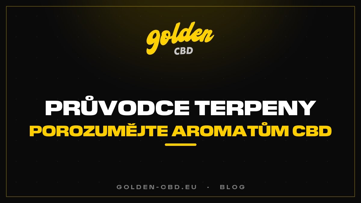 Průvodce terpeny: porozumět aromatům CBD