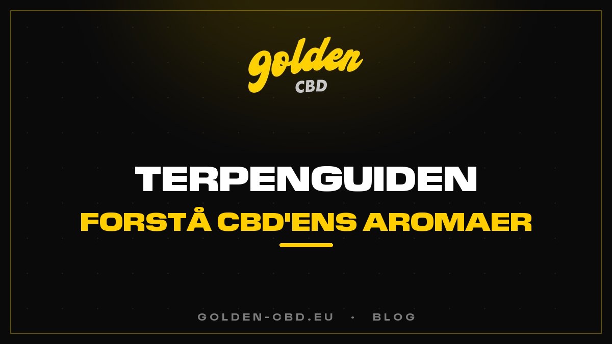 Terpenguiden: forstå CBD'ens aromaer