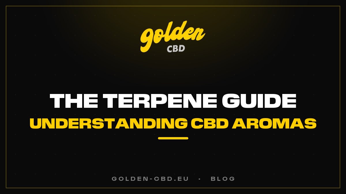 The terpene guide: understanding the aromas of CBD