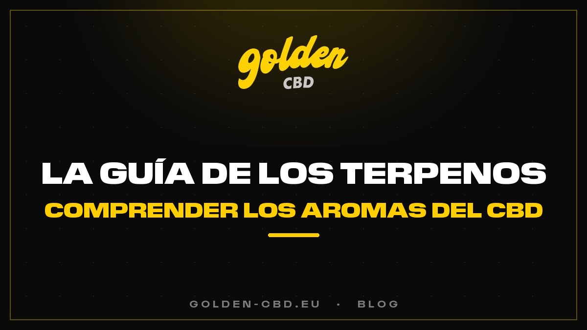 La guía de los terpenos: comprender los aromas del CBD