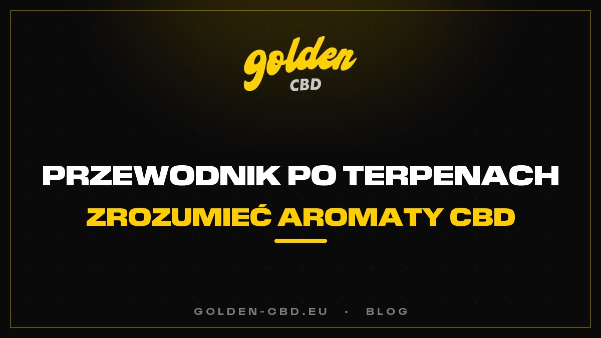 Przewodnik po terpenach: zrozumieć aromaty CBD