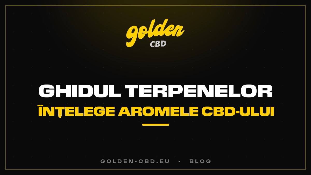 Ghidul terpenelor: să înțelegem aromele CBD-ului