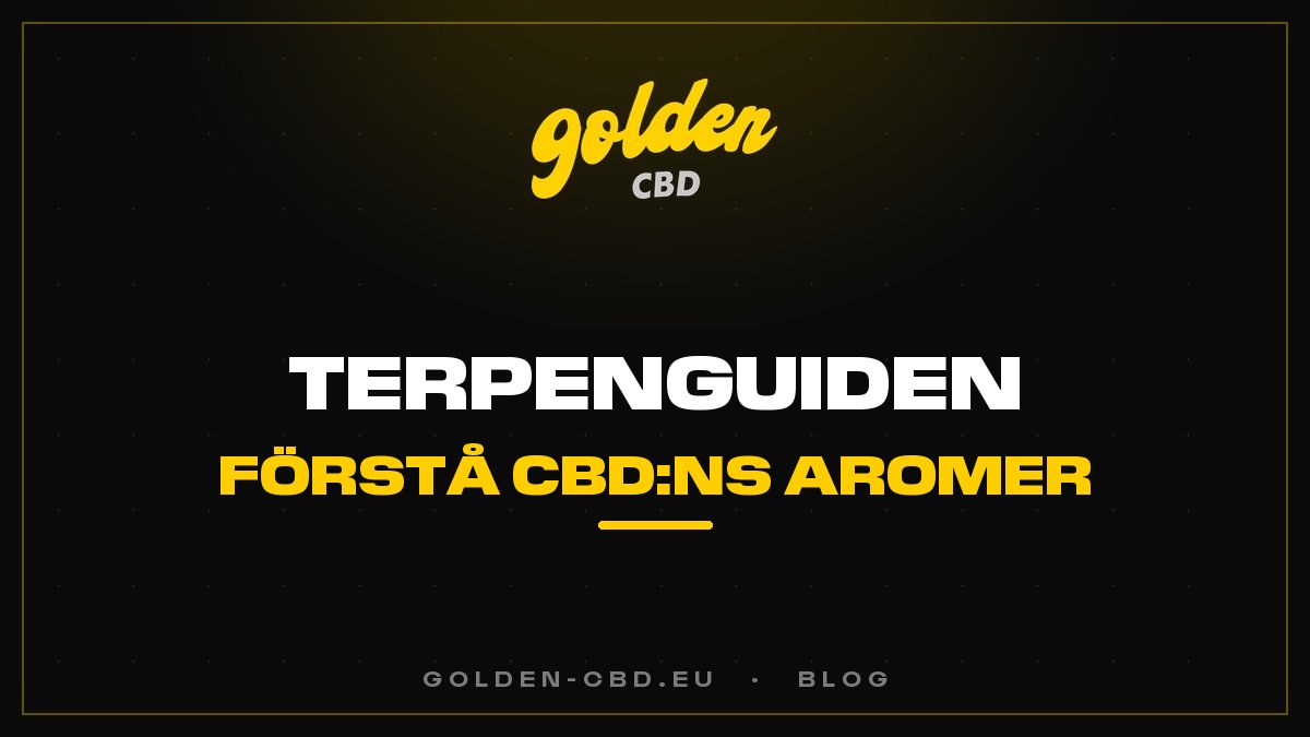 Terpenguiden: förstå CBD:ns aromer