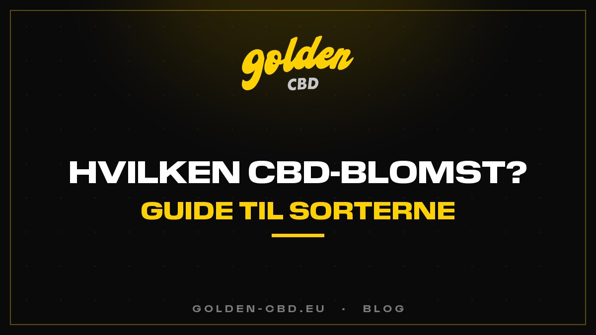 Hvilken CBD-blomst skal du vælge? Den komplette sortsguide