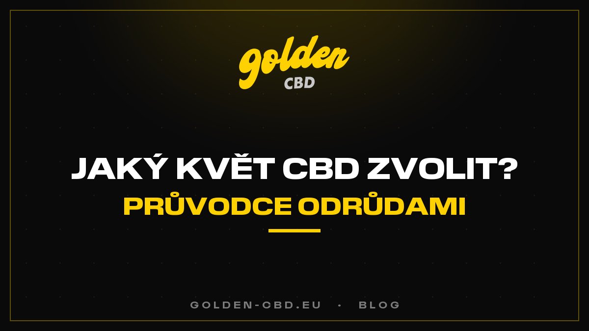 Jaký CBD květ vybrat? Kompletní průvodce odrůdami
