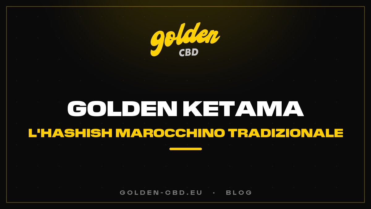 Golden Ketama: l'hashish marocchino tradizionale