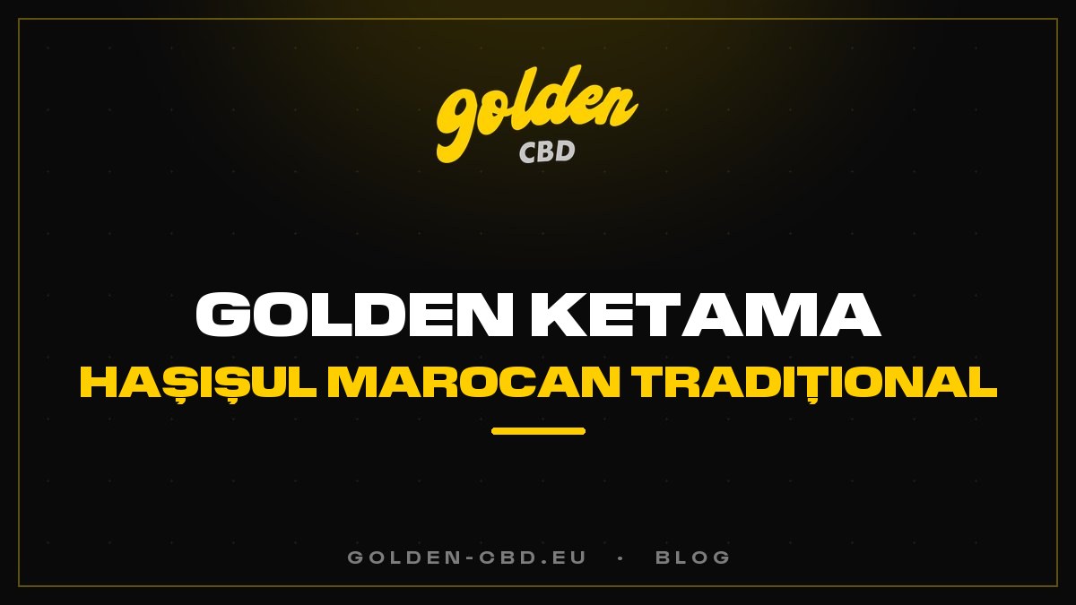 Golden Ketama: hașișul marocan tradițional
