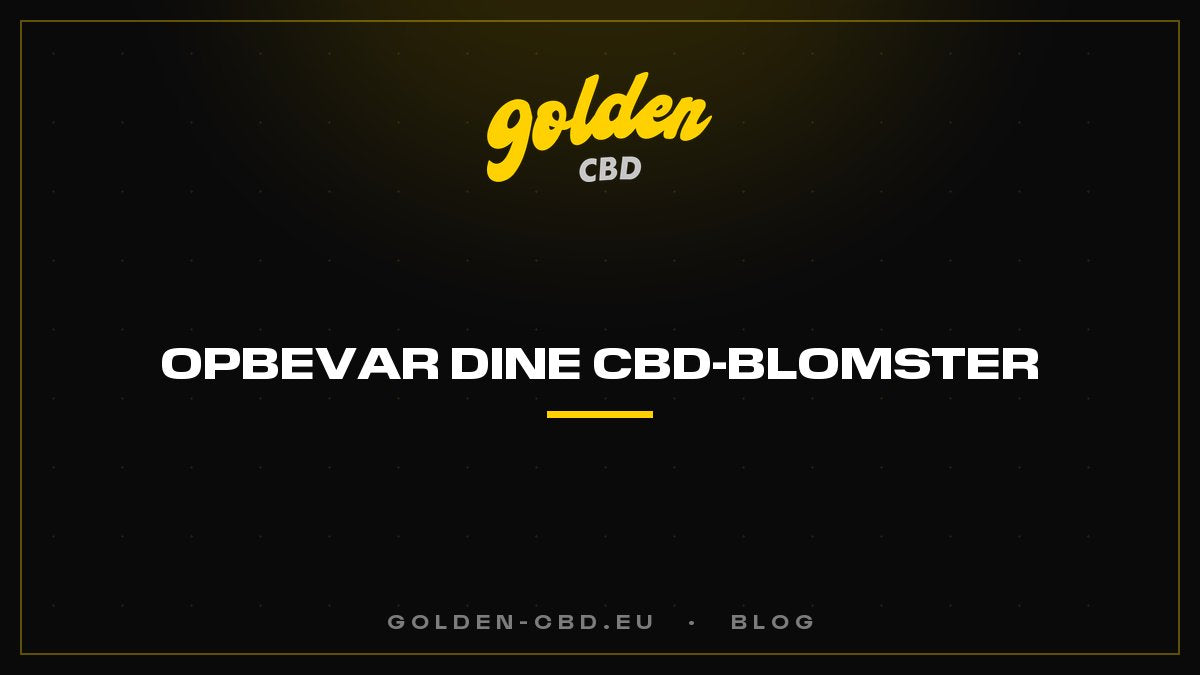 Hvordan opbevarer man sine CBD-blomster?