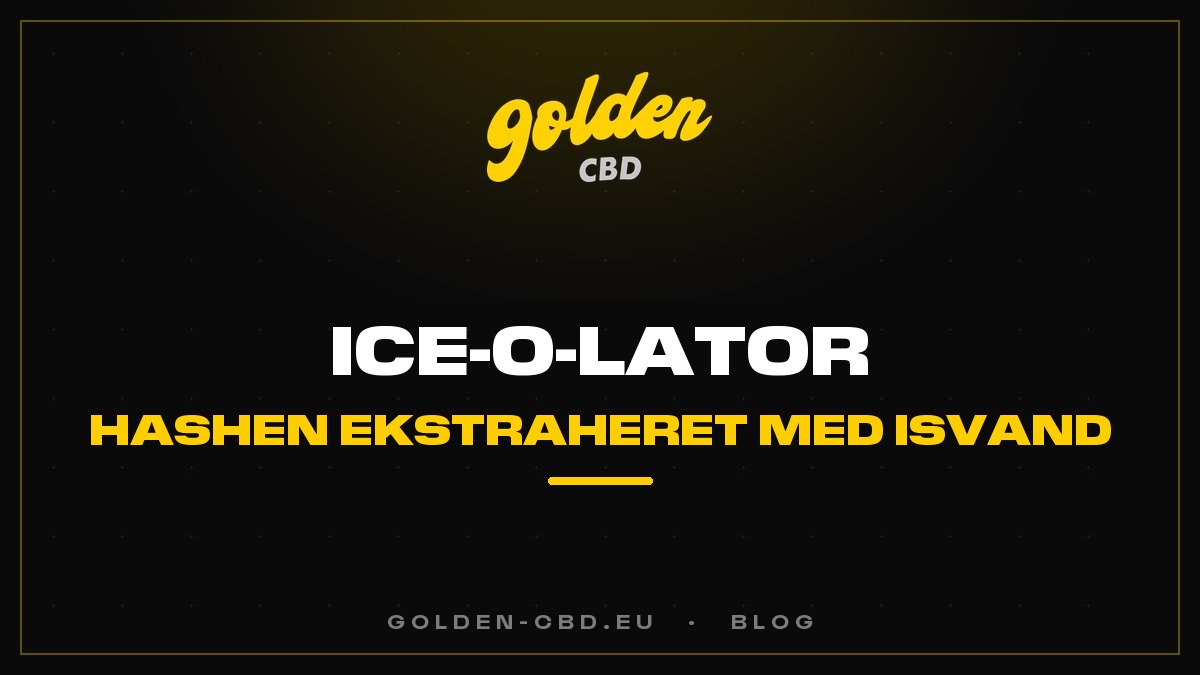Ice-O-Lator: hashen ekstraheret med isvand