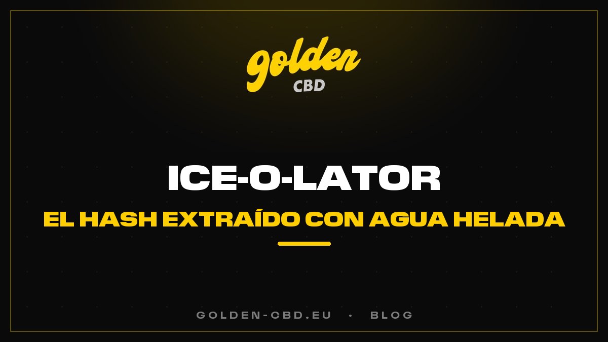 Ice-O-Lator: el hash extraído con agua helada