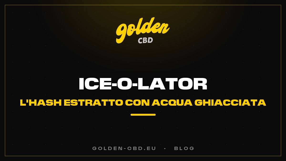 Ice-O-Lator: l'hash estratto con acqua ghiacciata