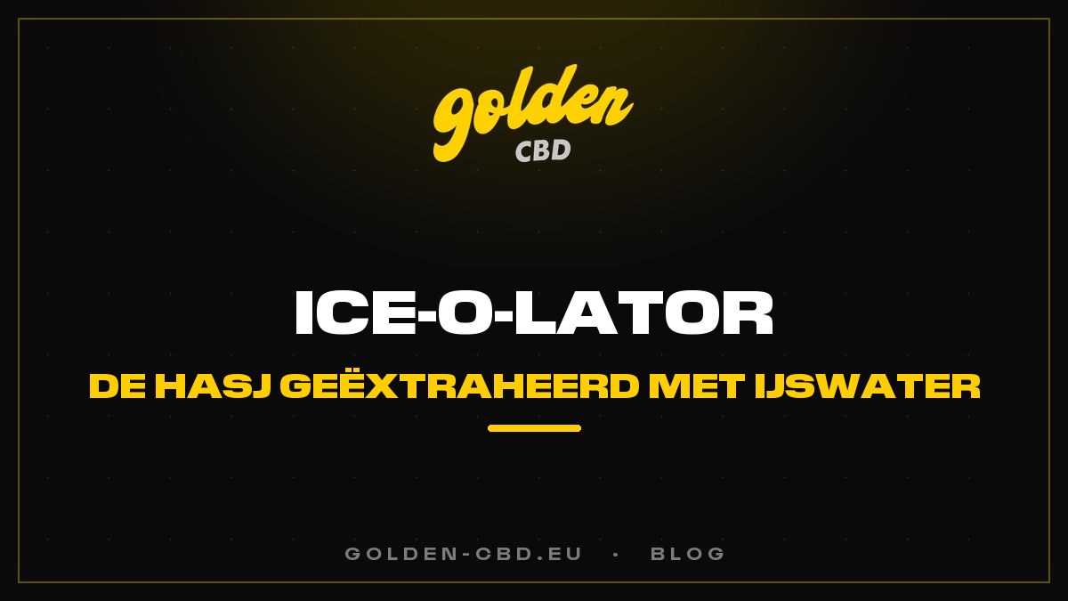 Ice-O-Lator: de hasj geëxtraheerd met ijswater