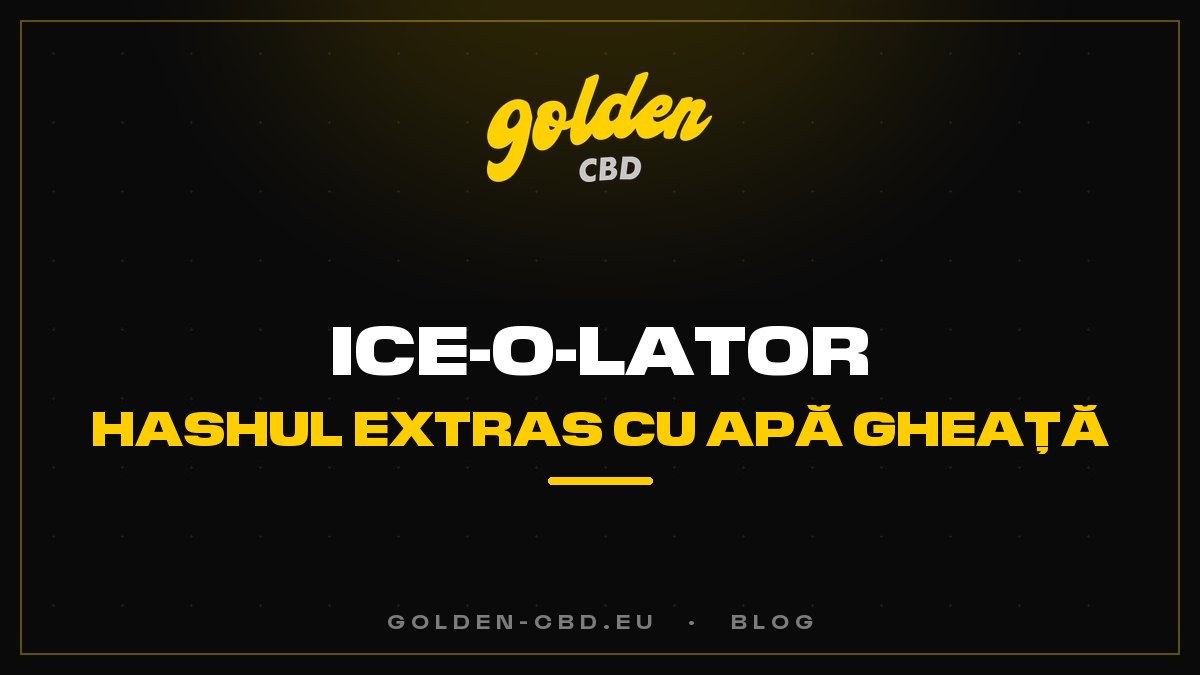 Ice-O-Lator: hashul extras cu apă gheață