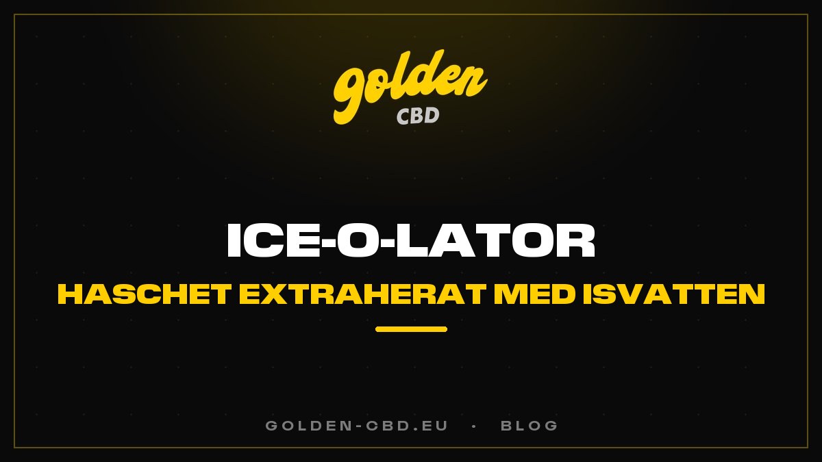 Ice-O-Lator: haschet extraherat med isvatten