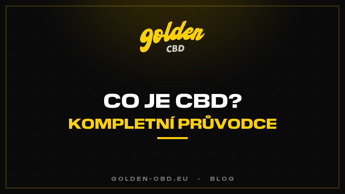 Co je to CBD? Kompletní průvodce