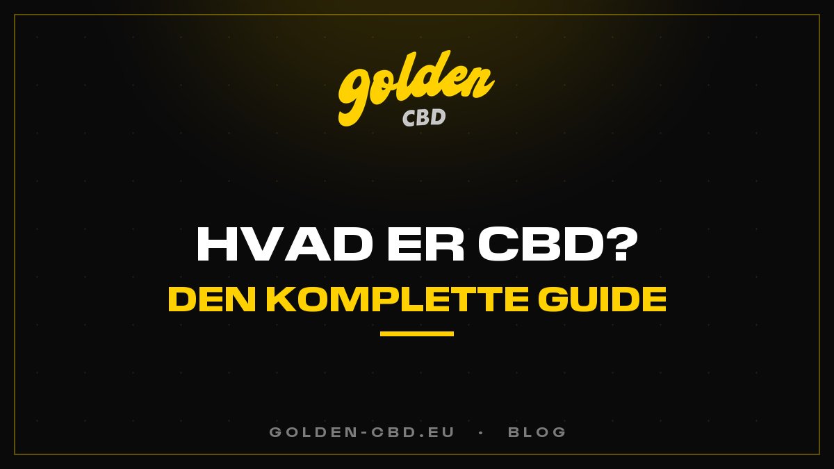 Hvad er CBD? Den komplette guide