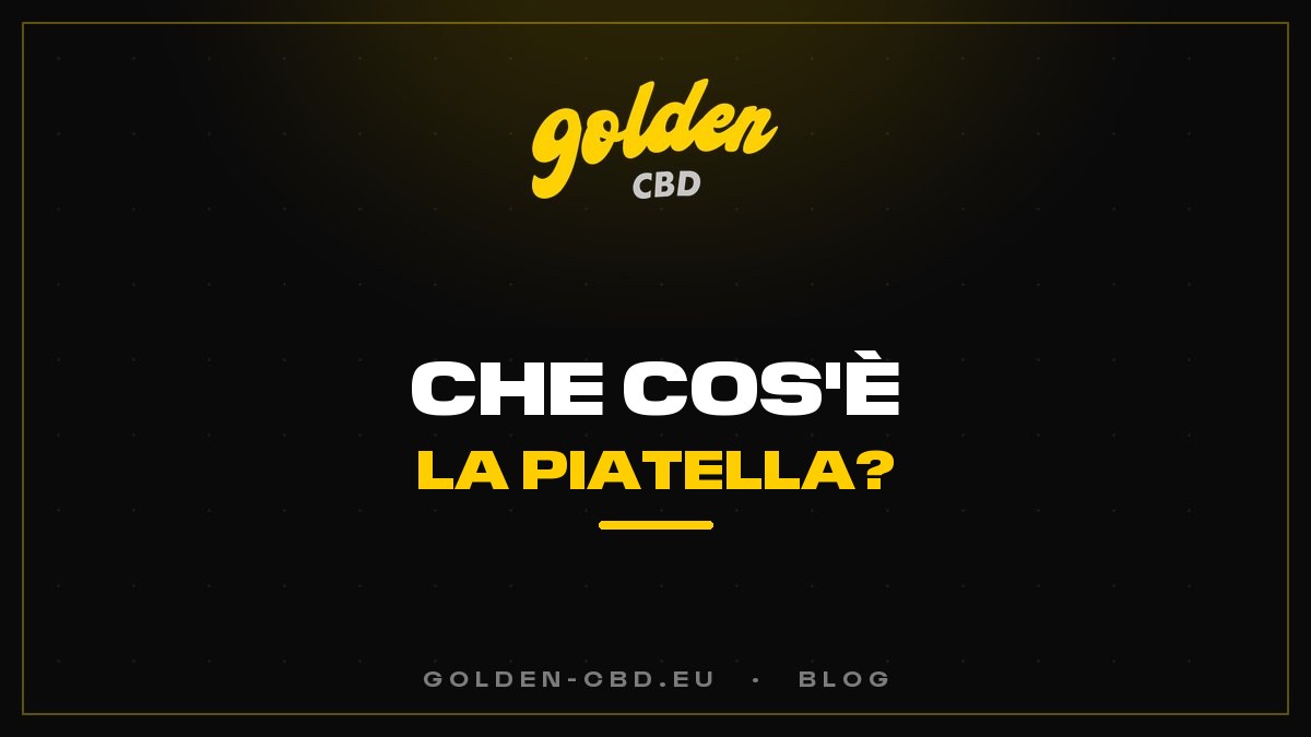 Che cos'è la Piatella? L'hash cold cure d'eccezione