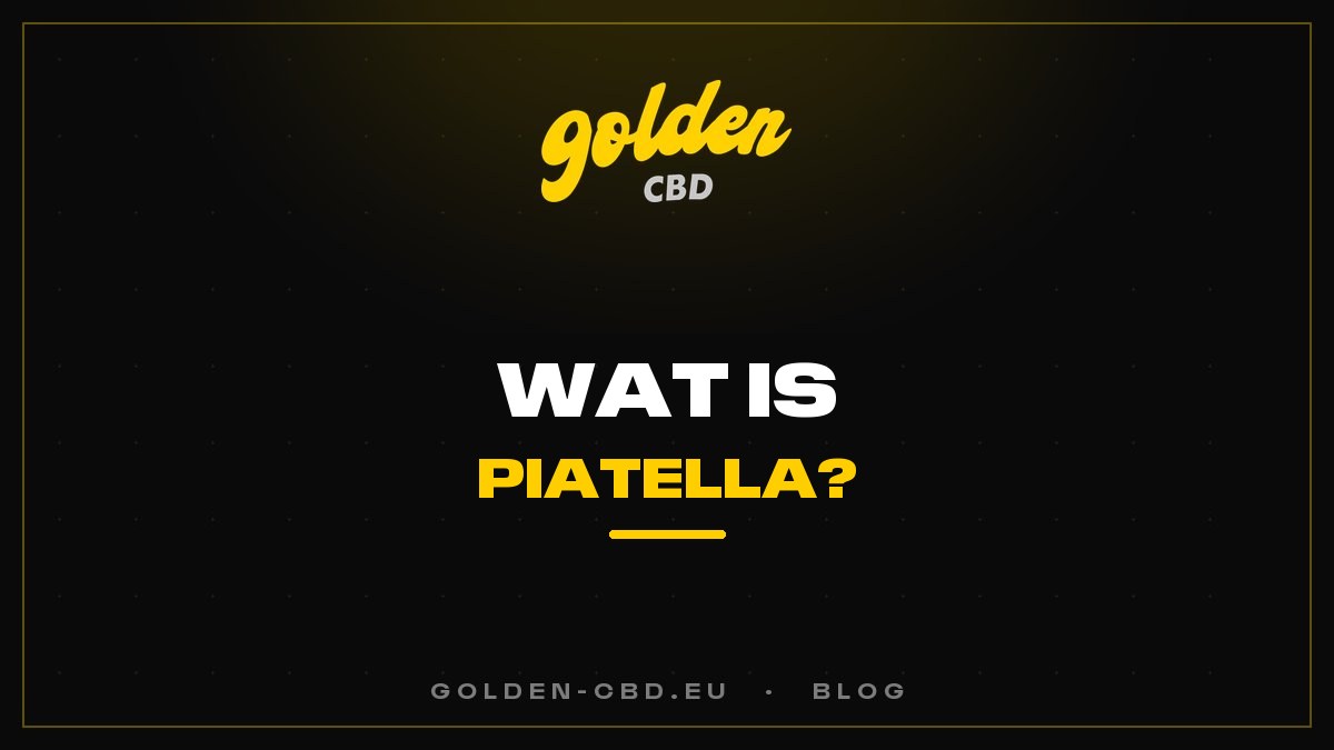 Wat is Piatella? De uitzonderlijke cold cure hasj