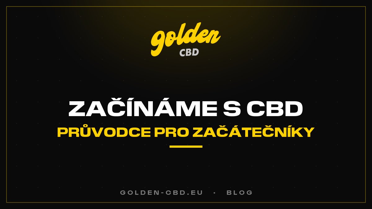 Jak správně začít s CBD? Průvodce pro začátečníky
