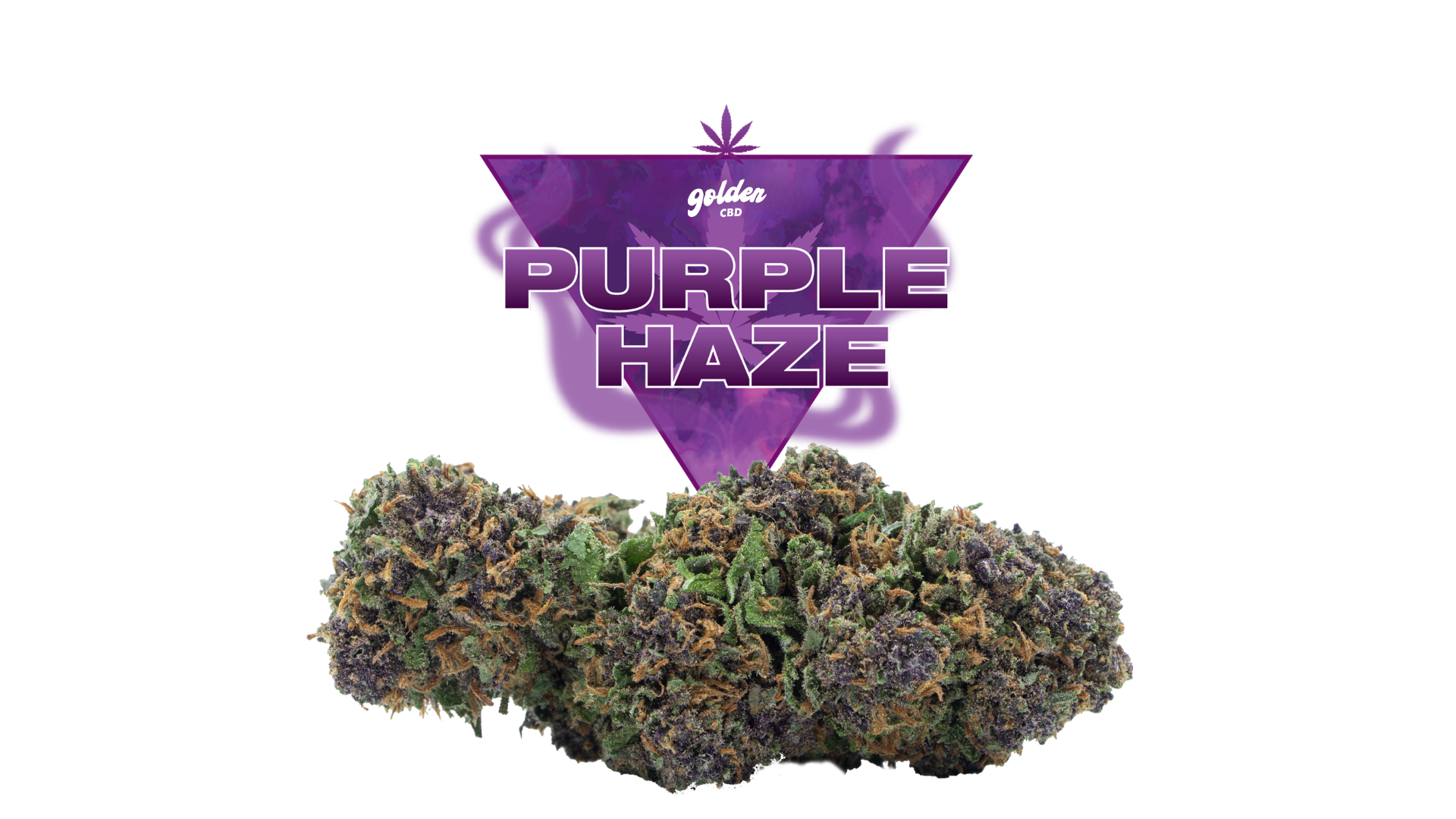 Purple Haze CBD-Blüte, Golden CBD