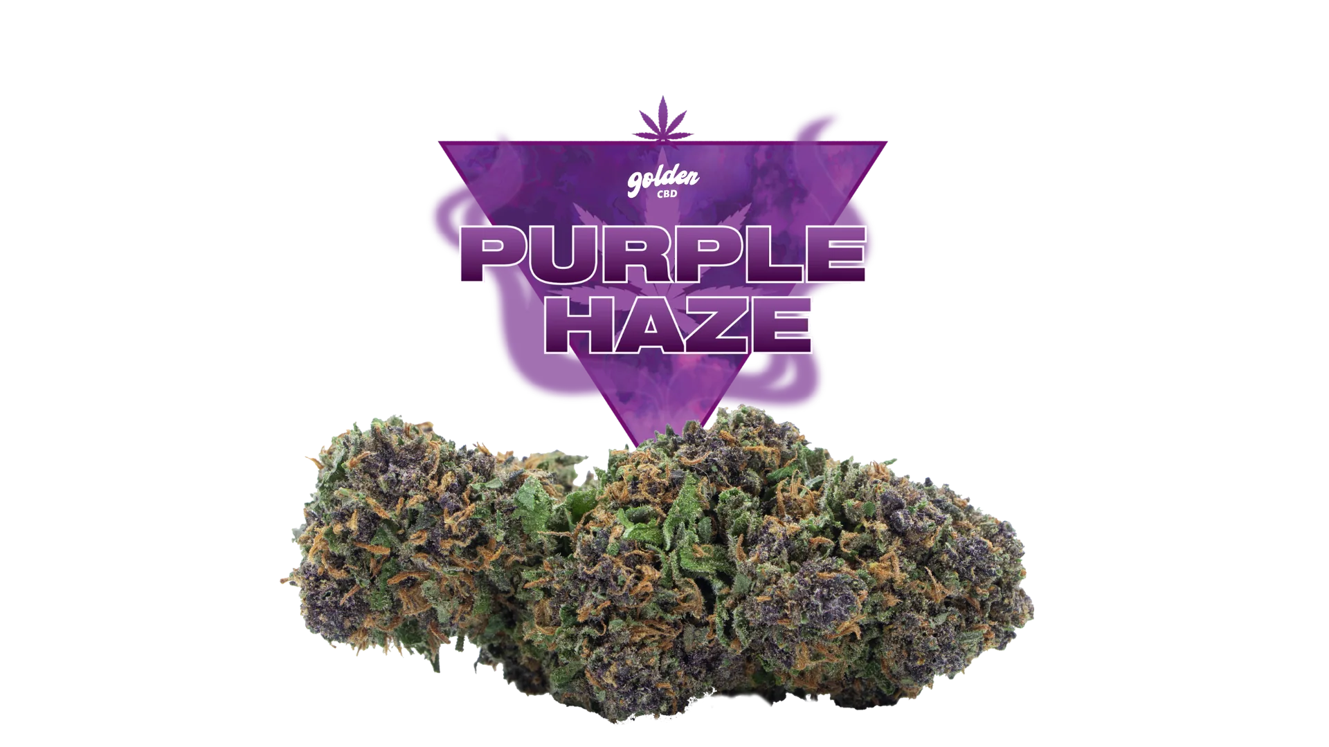 Fleur de CBD Purple Haze, Golden CBD
